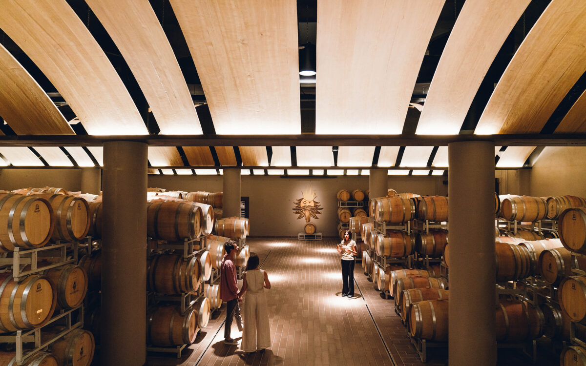 01 blocco azienda vinicola