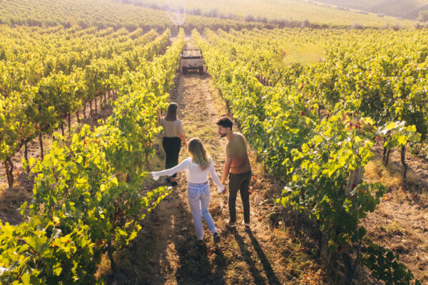 06 gallery vallepicciola