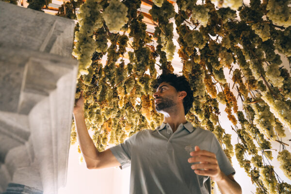 08 gallery vallepicciola