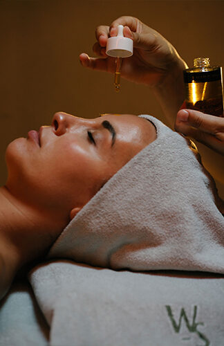 Gallery harmonize 03