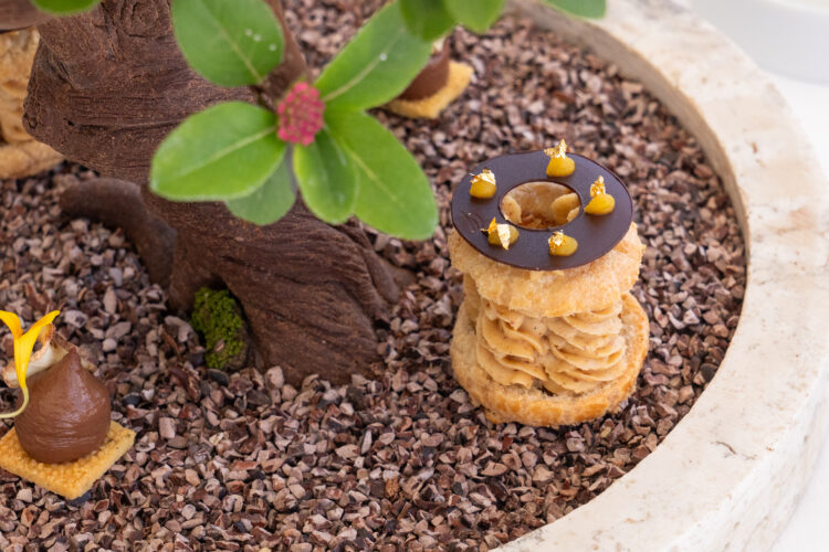 Gallery sogno stellato 04