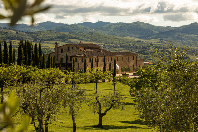 Gallery tch natale 2024 02