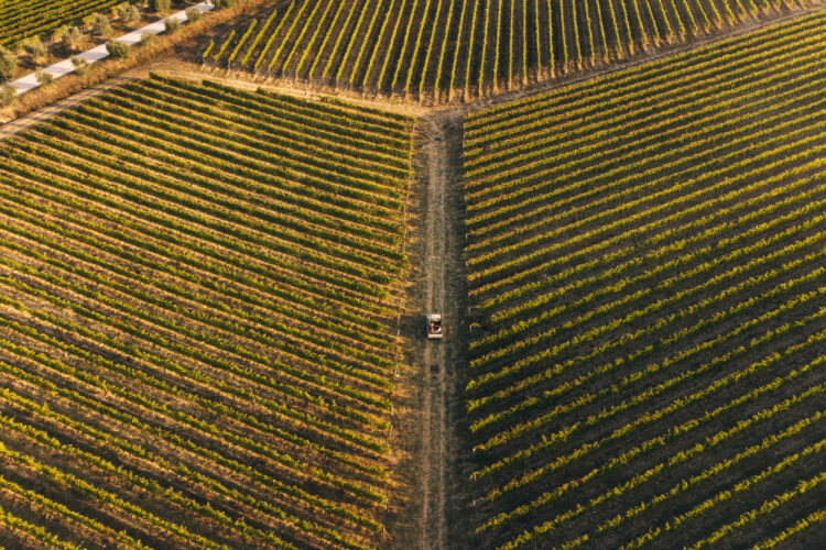 Gallery wine wellness 05